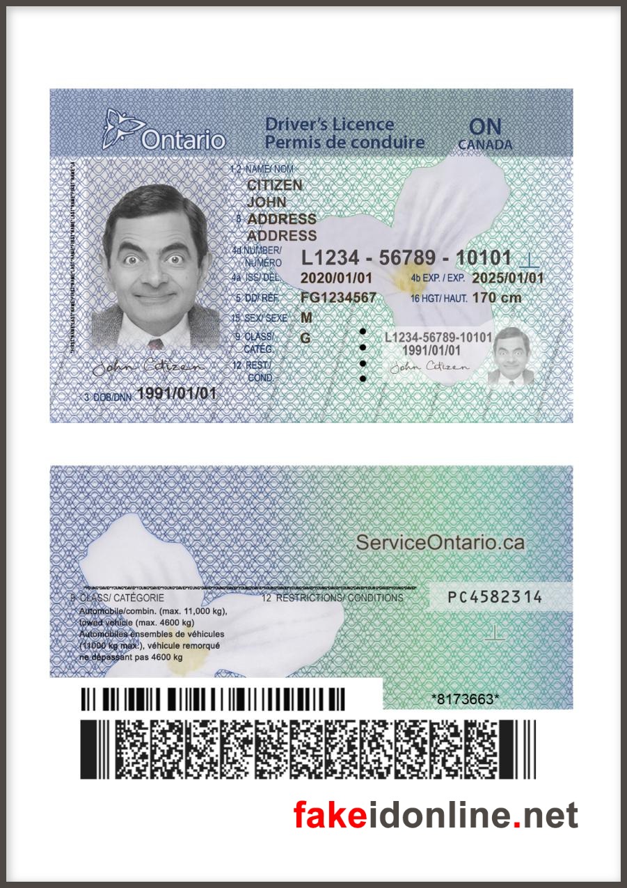 Canada Ontario Driver License Template